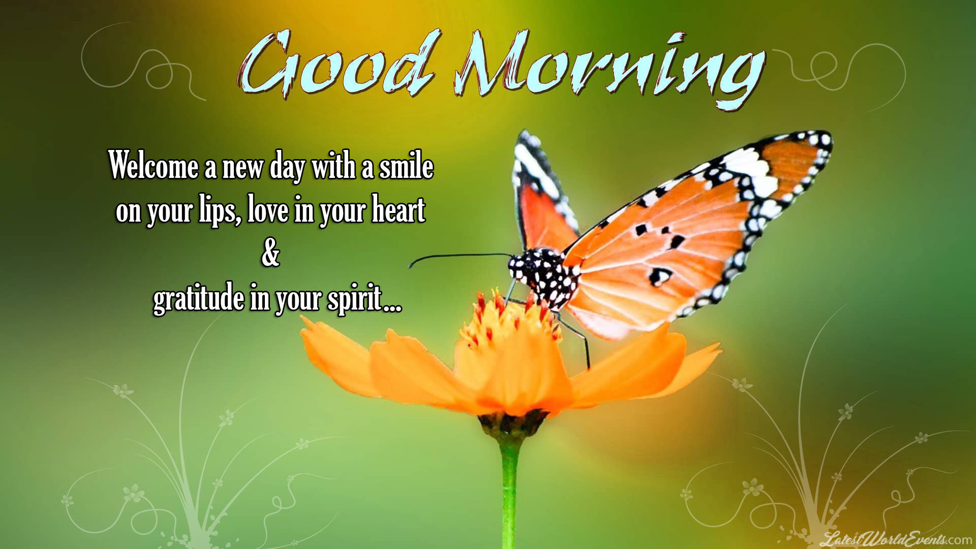 Good-morning-quotes-2018-wishes-msg-flowers-hd