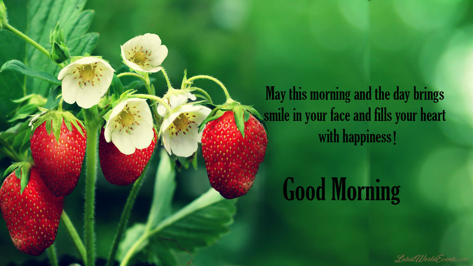 New-good-morning-wishes-quotes-cards-2018