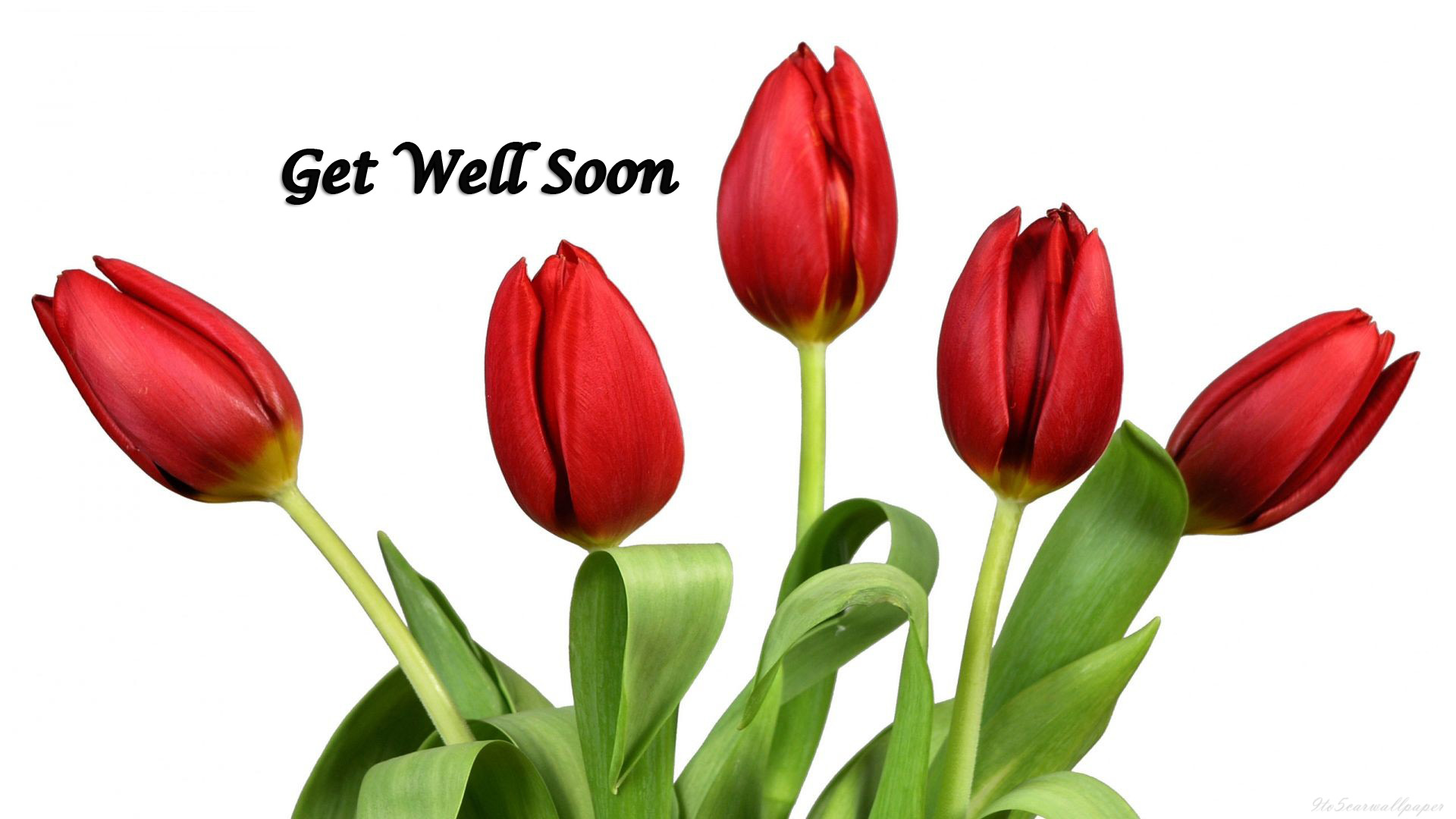 Get-Well-Soon-Messages-After-Surgery-4