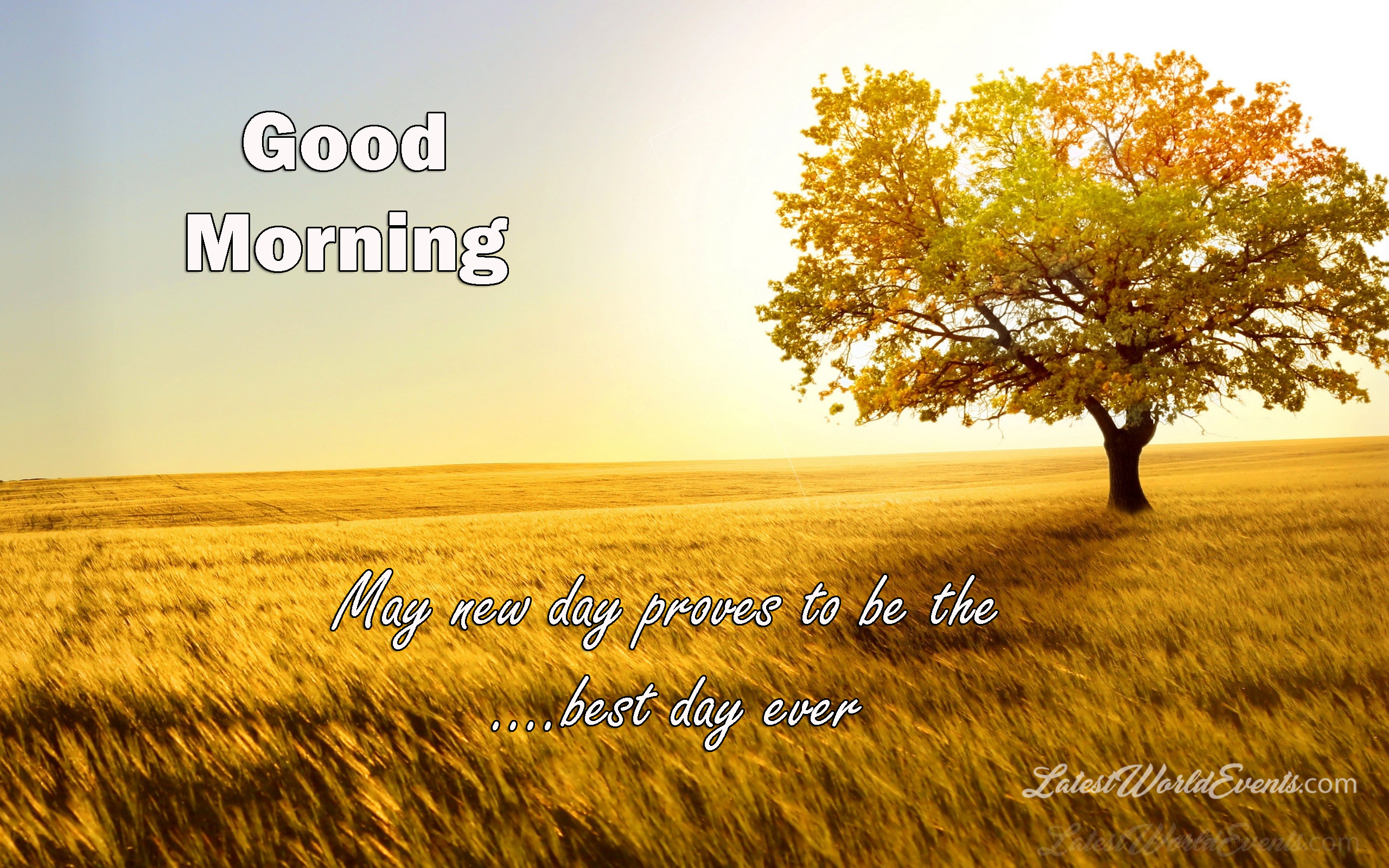 good-morning-images-cards-whishes-quotes