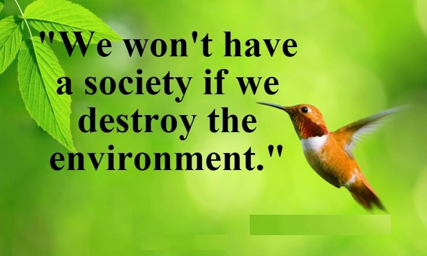 World-Environment-Day-Images-With-Quotes-3