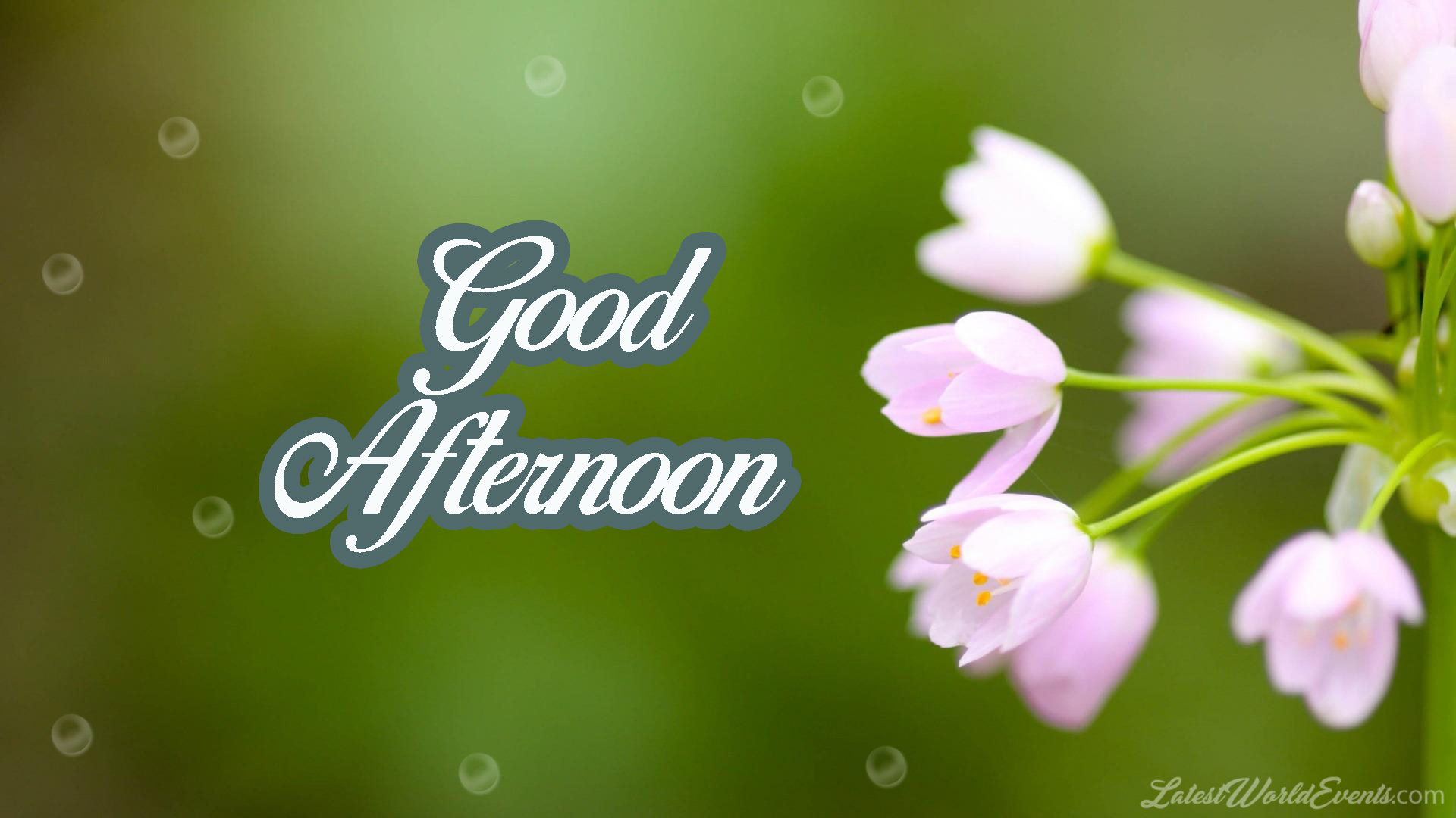 good-afternoon-images-cards-wishes