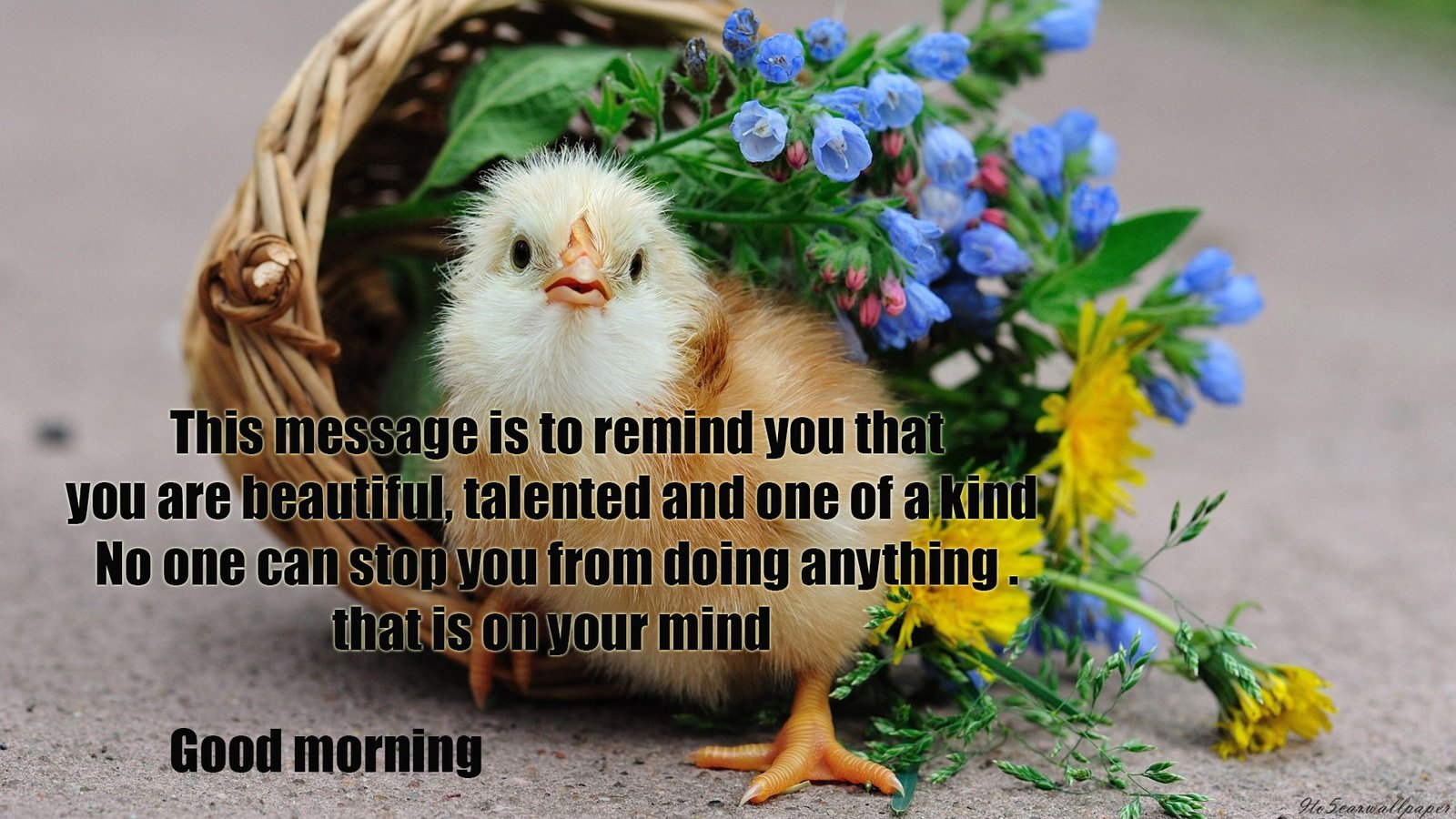 good-morning-animated-images-free-download