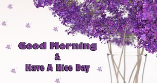 good-morning-wishes-cards-Images