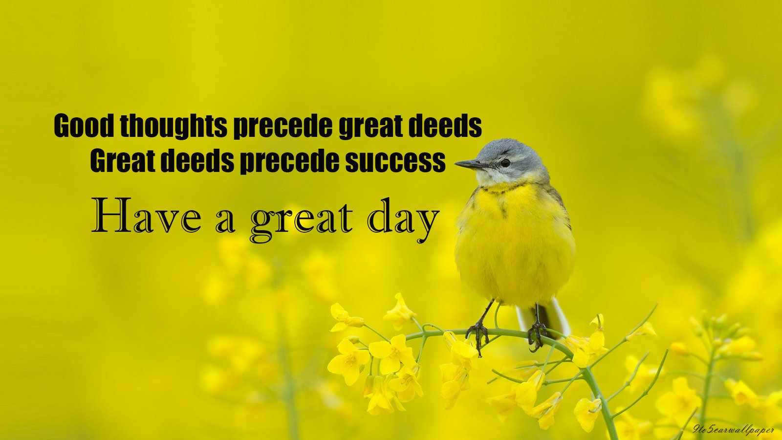 good-morning-wishes-qGood-Morning-Animated-GIF-Images