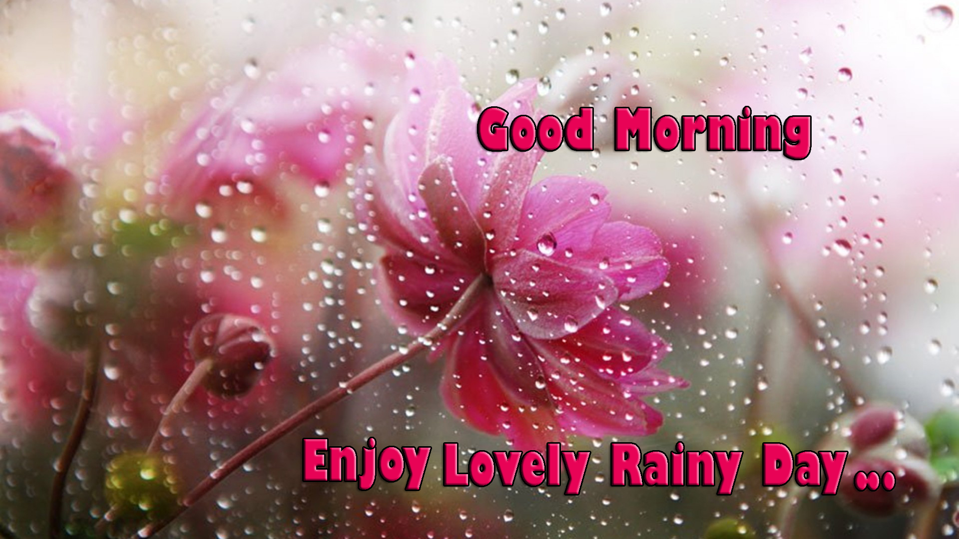 good-morning-with-rainy-day-Images-Quotes