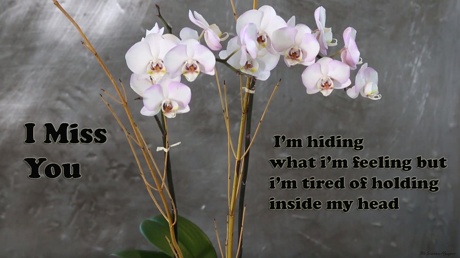 sad-love-quotes-with-images-free-download