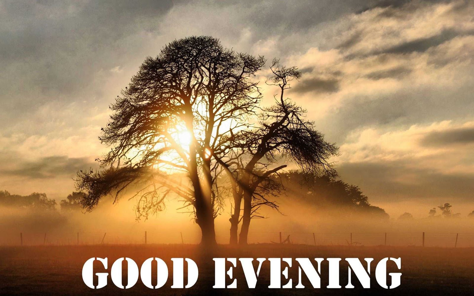 Good-evening-Images