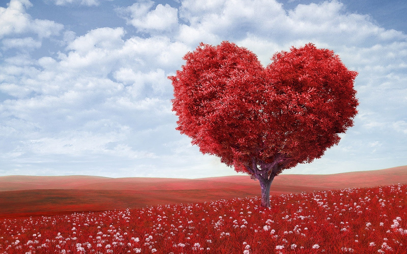 Love-Hd-Wallpapers-Images