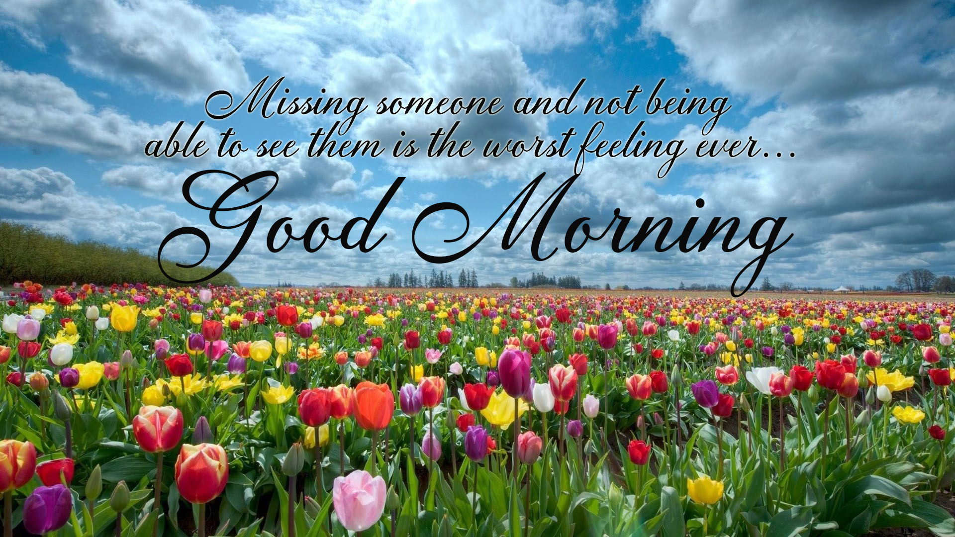 good-morning-wallpapers-miss-you