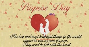 boy-giving-rose-to-girl-hd-images