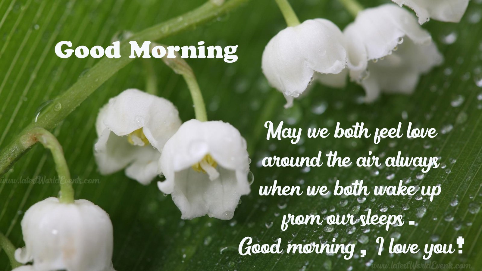 good-morning-my-love-quotes