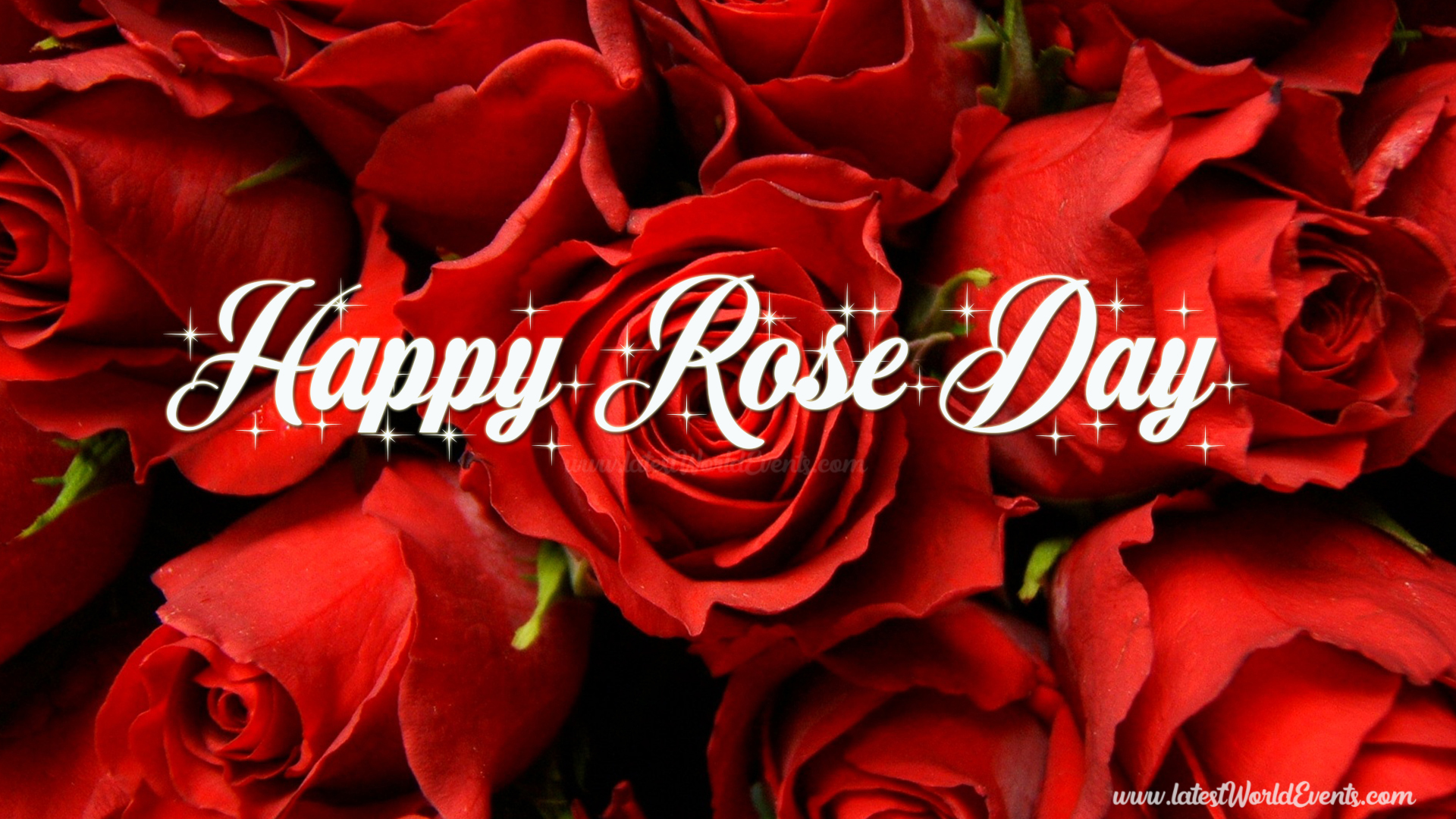 rose-day-images-download