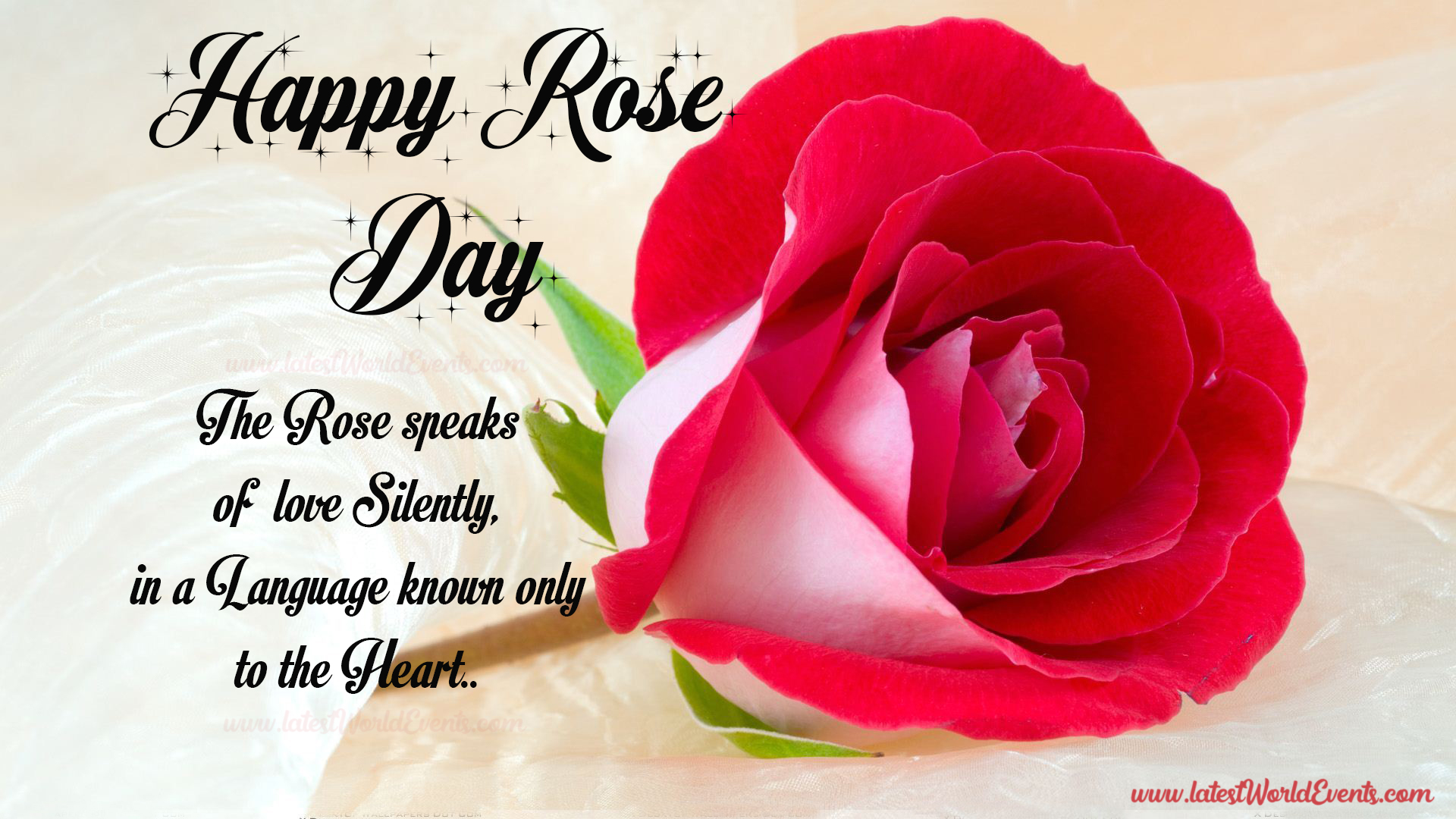 rose-day-quotes-for-love