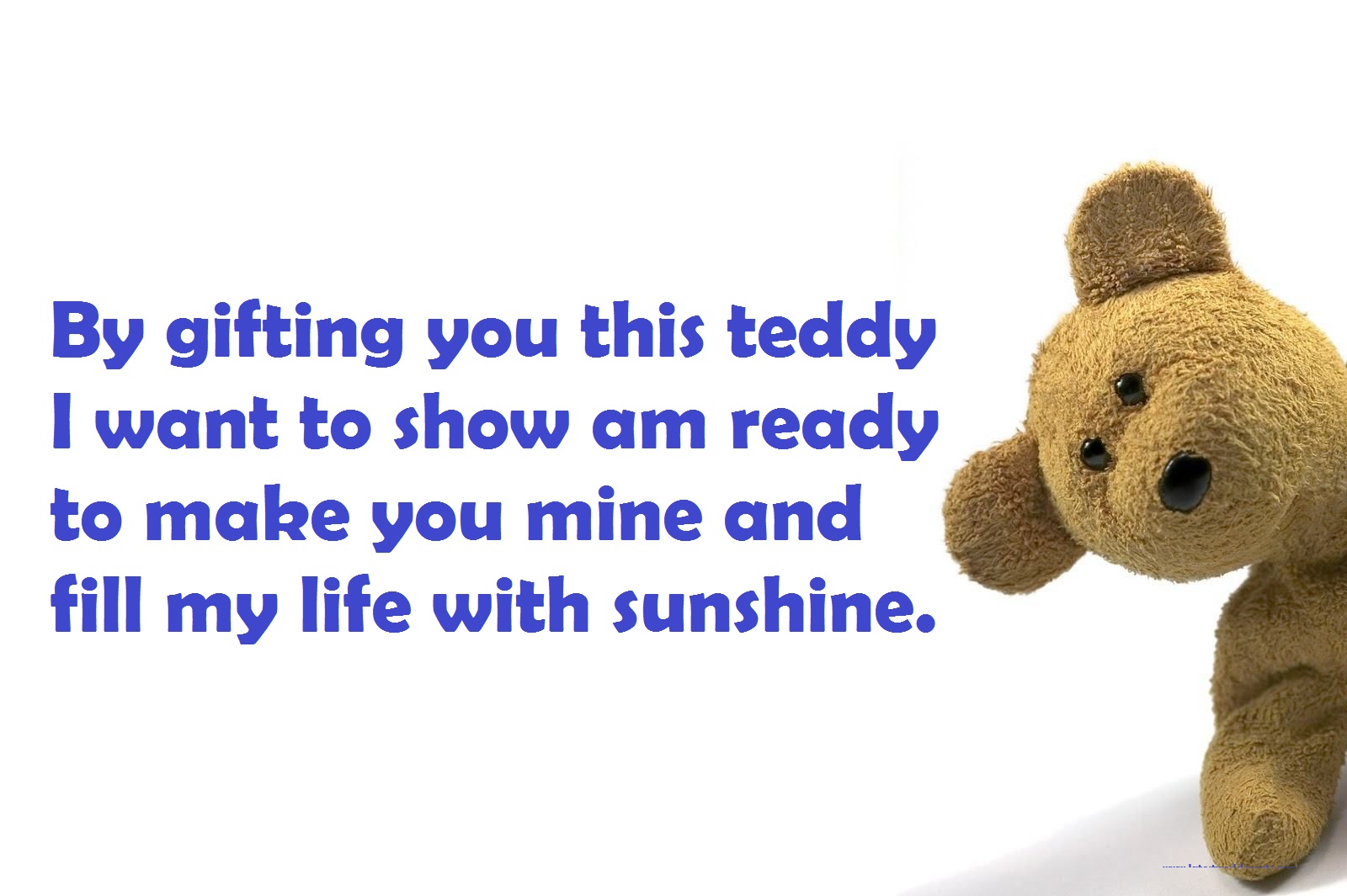 teddy-Day-Photos-Download