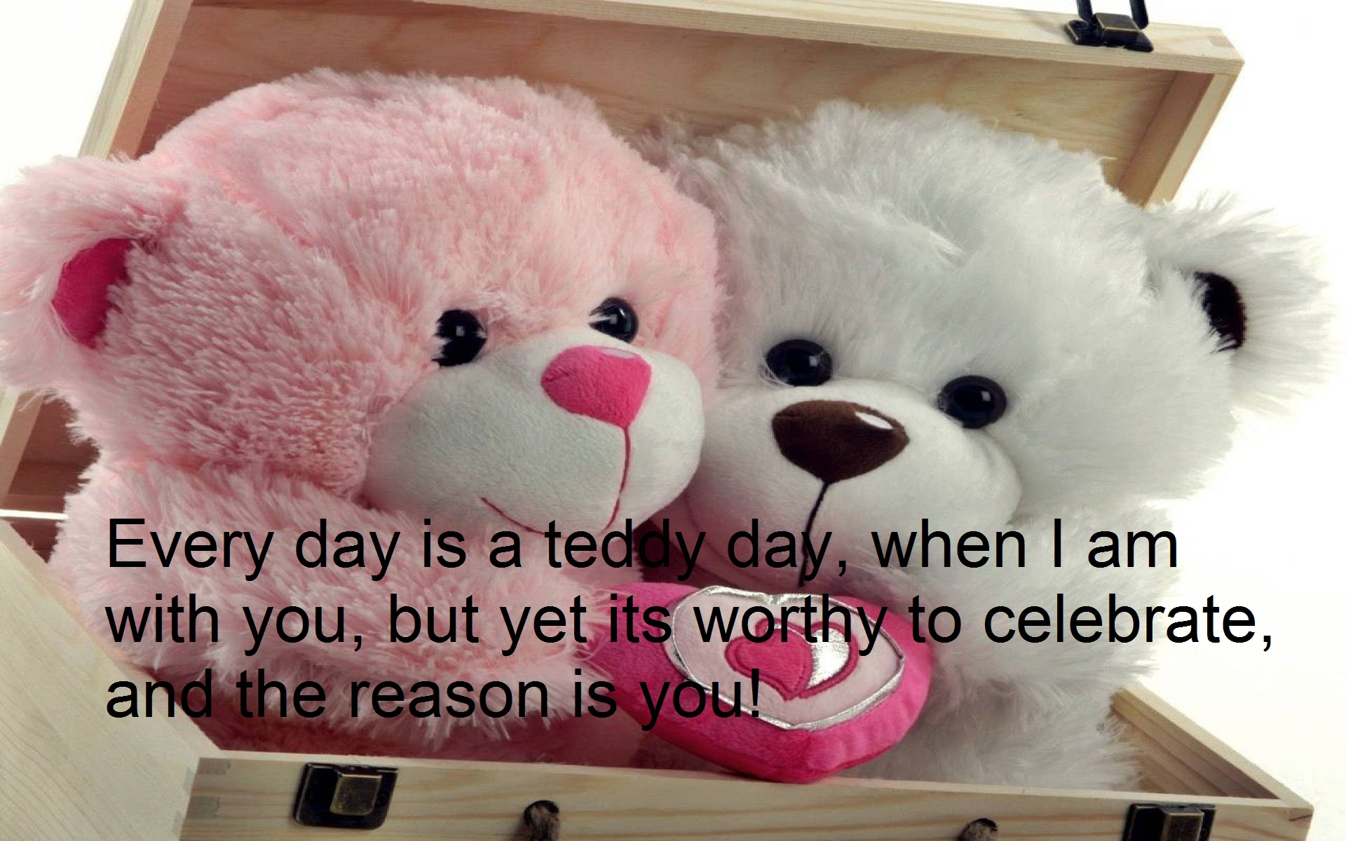 teddy-day-images-for-whatsapp