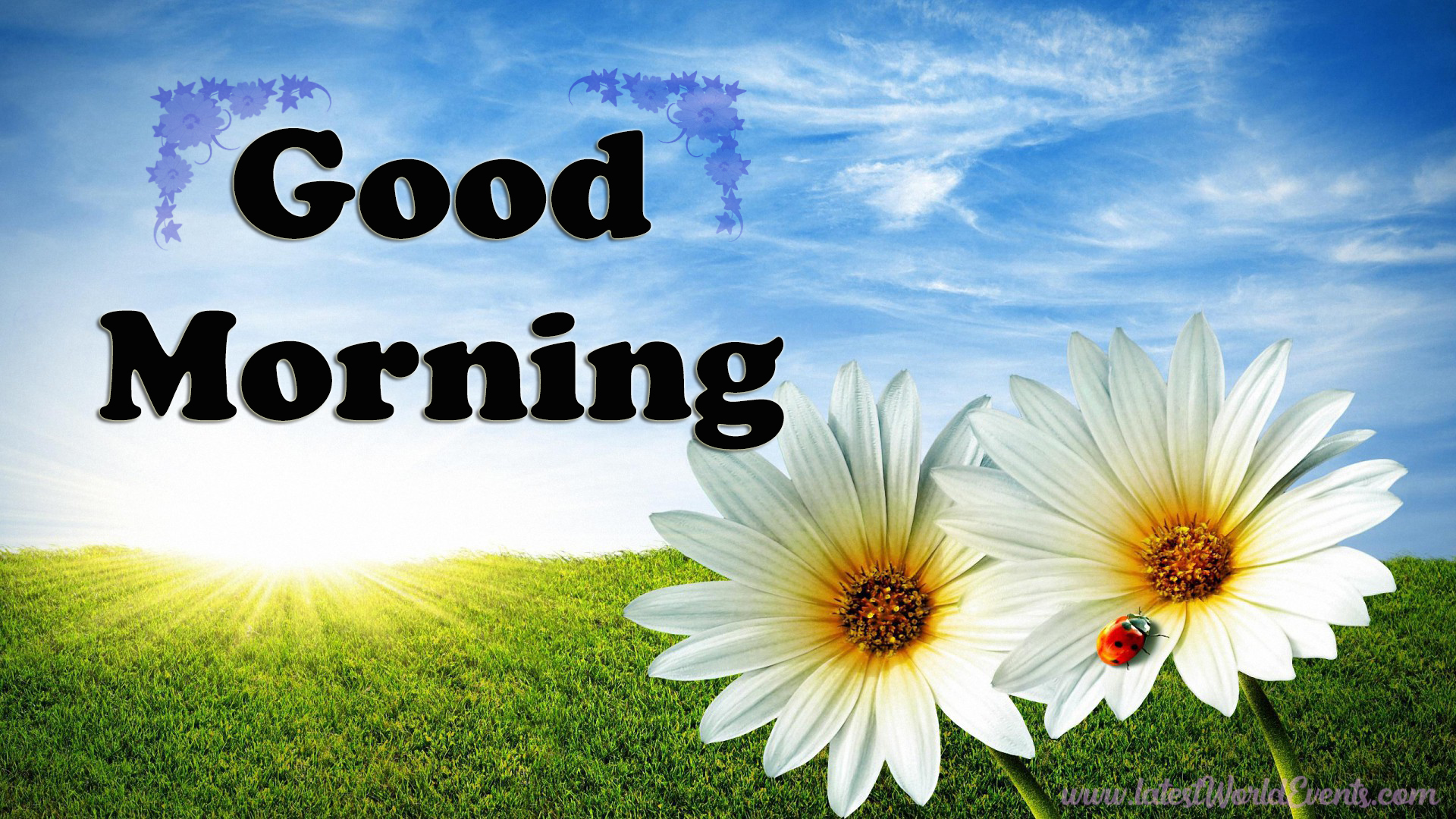 good-morning-images-free-download-for-whatsapp-hd-download