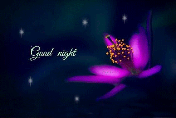 Good Night My Love GIF Animations Wishes