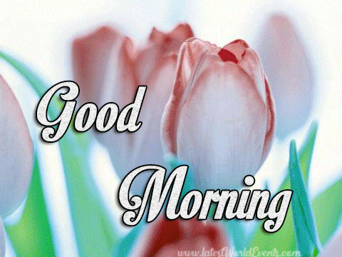 Lovely-Good-Morning-Gif-Images-for-Her