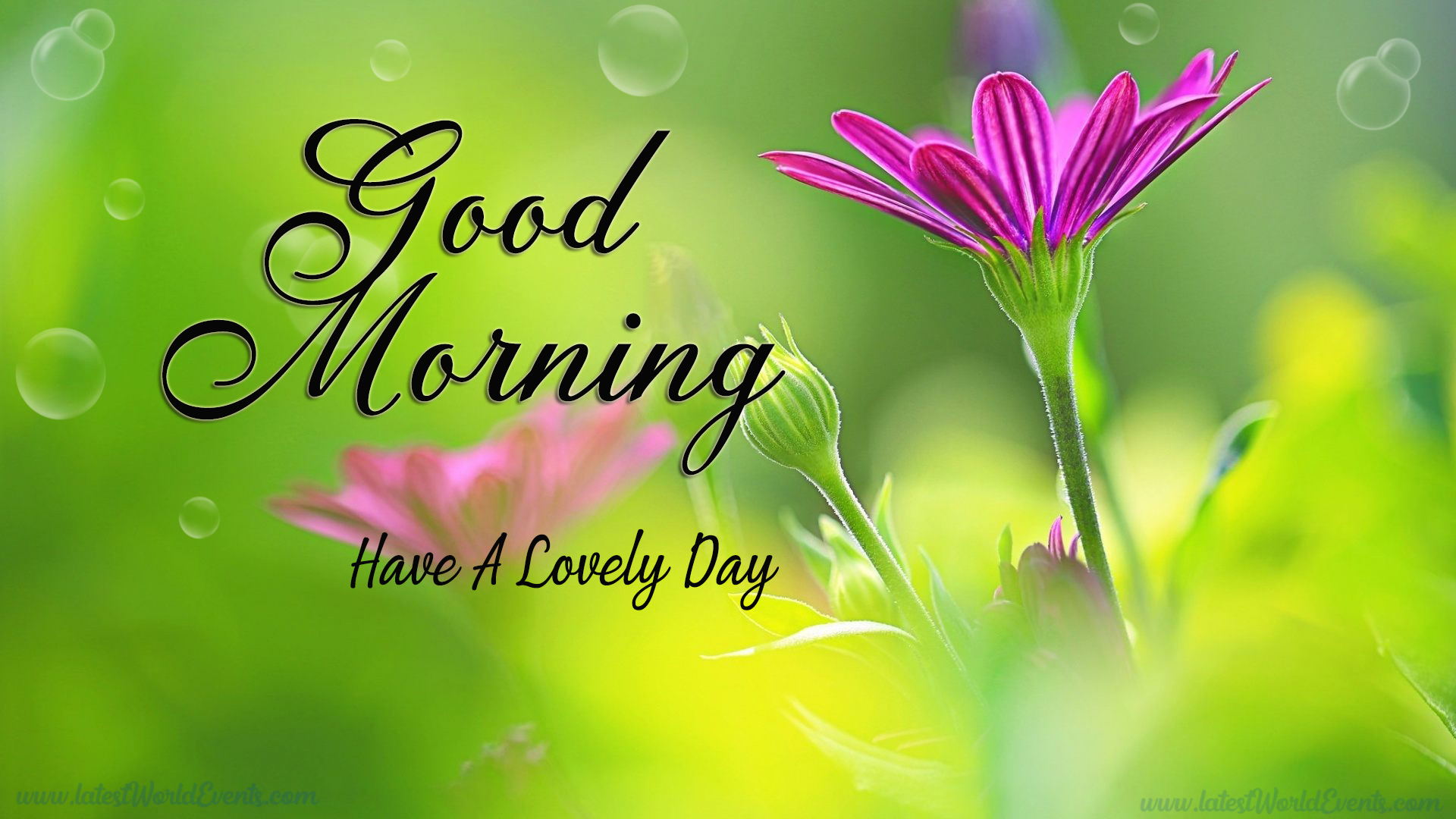 good-morning-wishes-for-friends