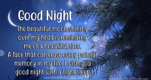 Download-Latest-Sweet-Good-Night-Quotes-wishes