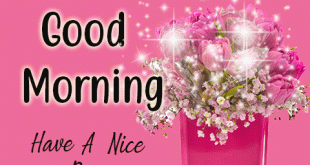 Download-animated-good-morning-greetings