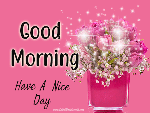 Good Morning GIF Images with Quotes & Animated Good Morning