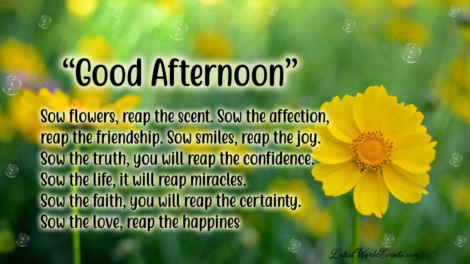 Good afternoon quotes for her & Good afternoon inspirational quotes