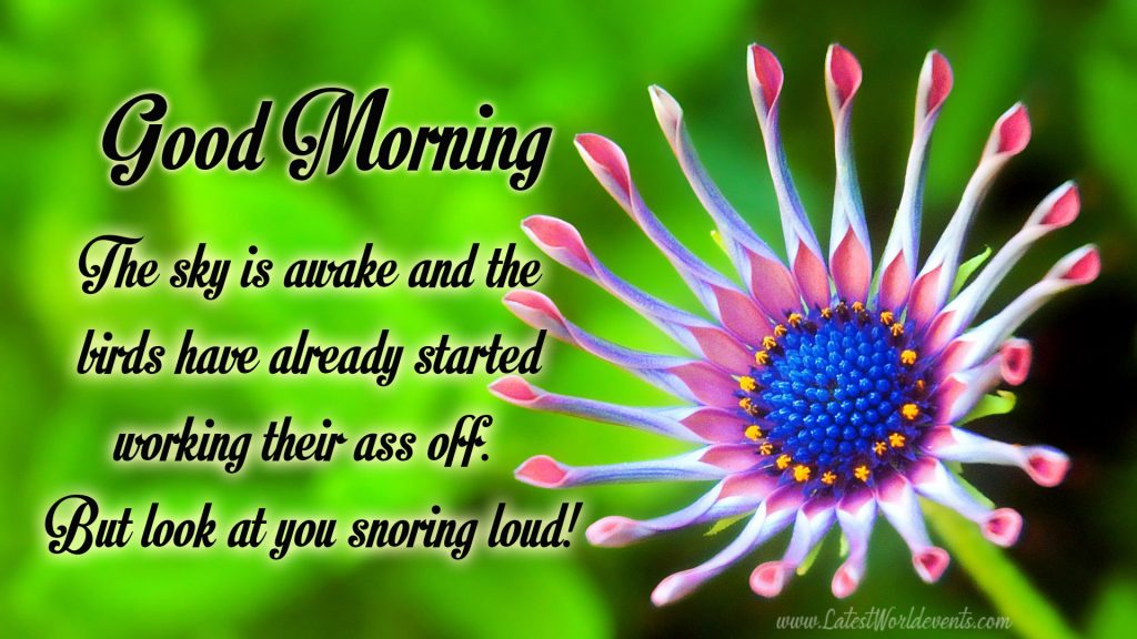 download-good-morning-images-free-download-for-whatsapp-hd-download