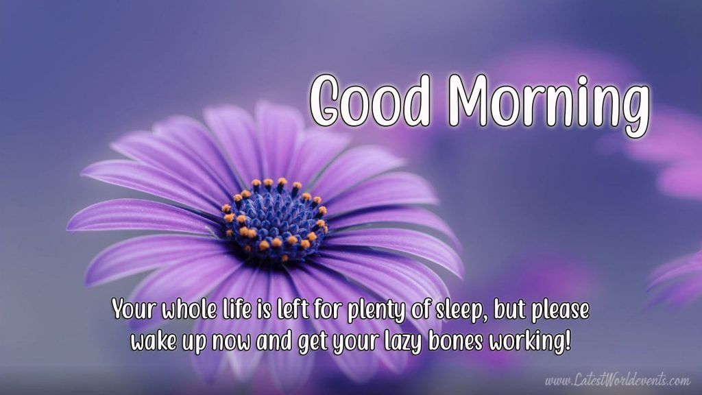 cool-good-morning-wallpaper-download