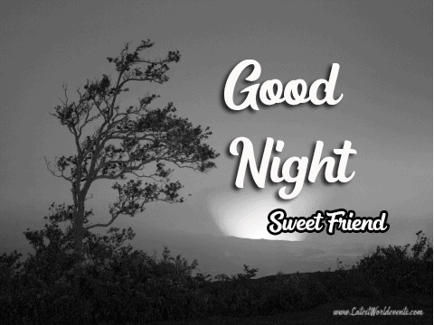 Good Night Friend GIF Images Quotes Messages