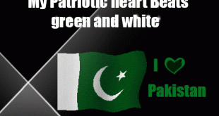 download-happy-independence-day-pakistan-gif
