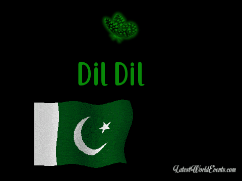 Latest-pakistan-flag-animated-gif-download