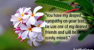 download-sympathy-quotes-for-losing-a-best-friend