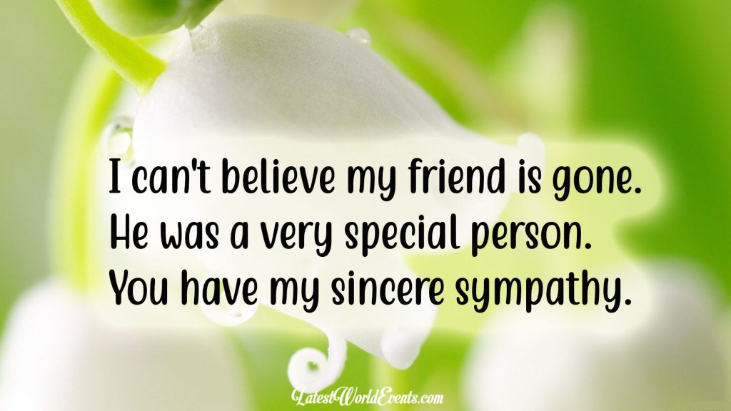 download-sympathy-quotes-for-loss-of-best-friend