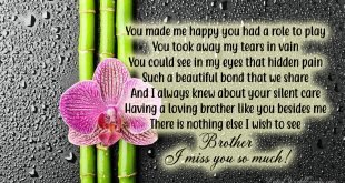 downoad-miss-you-younger-brother