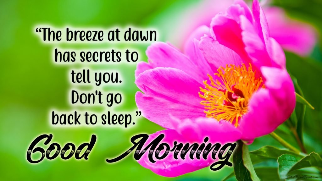 Awesome-22-beautiful-good-morning-quotes