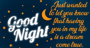 Cool-Good-Night-Wishes-Messages-Images