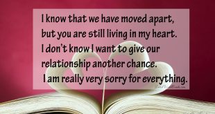 download-Sorry-Love-Images-With-Quotes-&-Messages