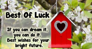 25-best-of-luck-wishes