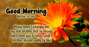 Latest-good-morning-brother-in-law-quotes