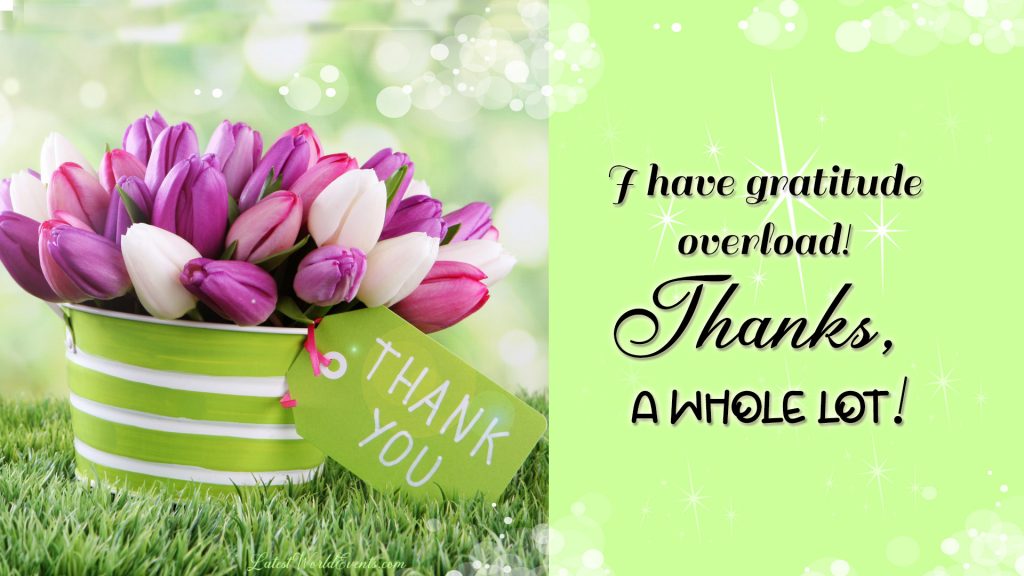 Download-thank-you-gratitude-quotes