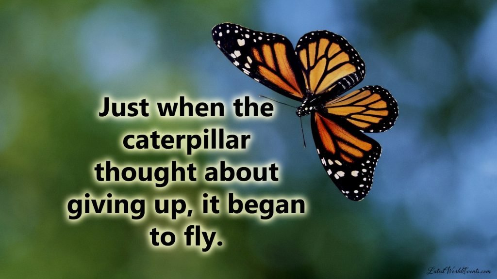 Download-wise-sayings-about-life-lessons