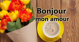 Latest-good-morning-my-love-in-french-images