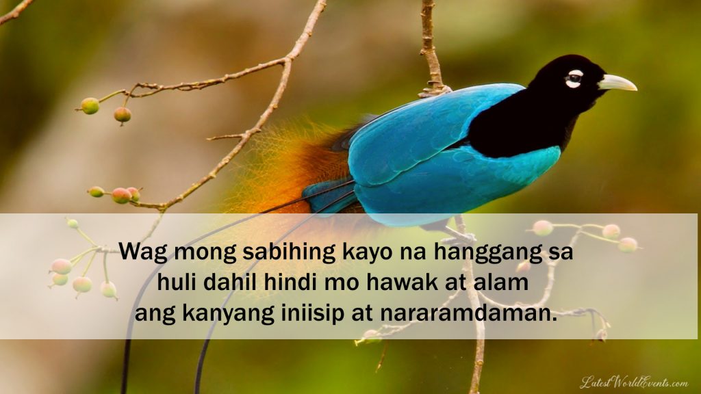 free-love-quotes-supreme-court-philippines