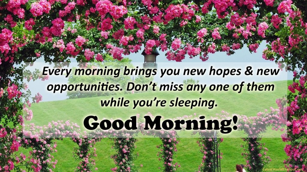 Download-good-morning-my-friend