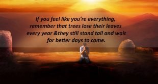 Download-inspirational-quotes-on-life