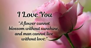 Download-strong-love-quotes