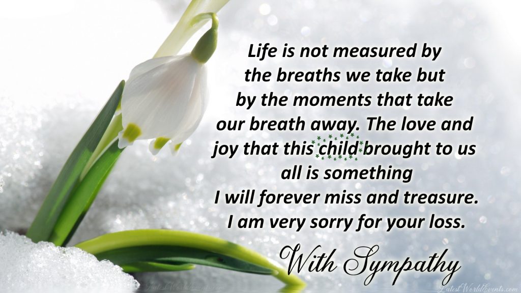 Download-words-of-sympathy-for-the-loss-of-a-grown-son
