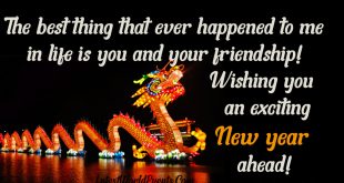 Latest-Chinese-Happy-New-Year-1